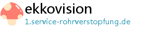 ekkovision